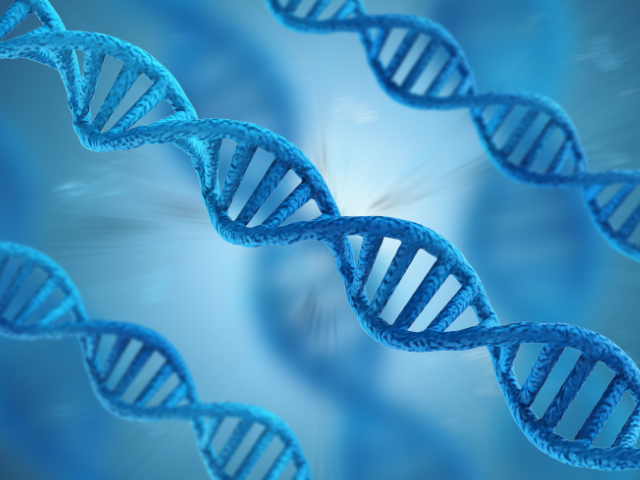 BRCA נשאיות